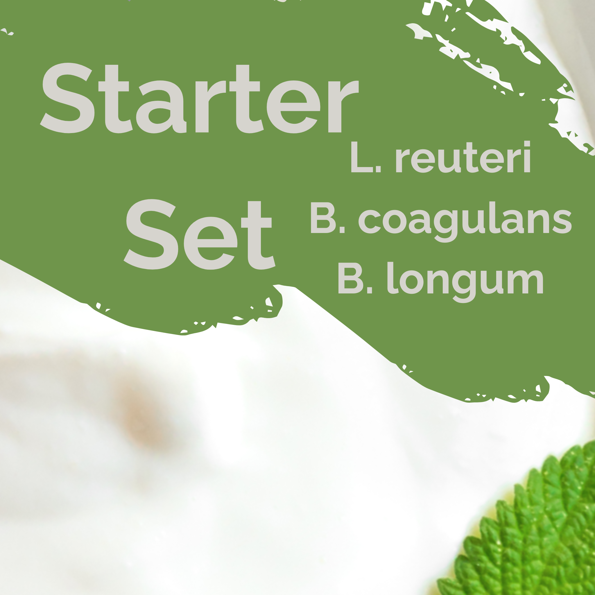 L. reuteri + B. coagulans + B. longum | 優格發酵劑套裝 | 小腸細菌過度生長 | 發酵劑菌種 | 3入組合
