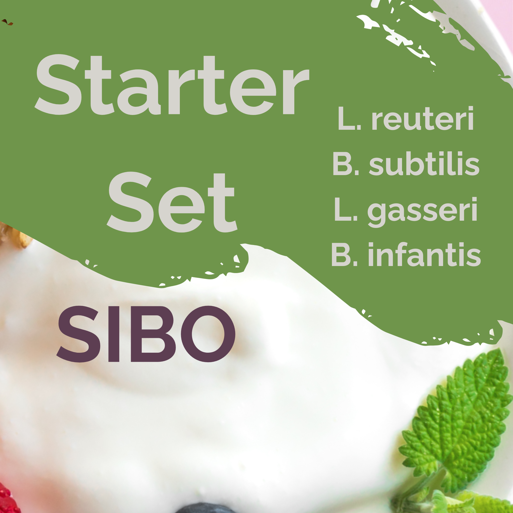 L. reuteri + B. subtilis + L. gasseri + B. infantis | 優格發酵劑套裝 | SIBO 穩定 | 發酵劑菌種 | 3入裝