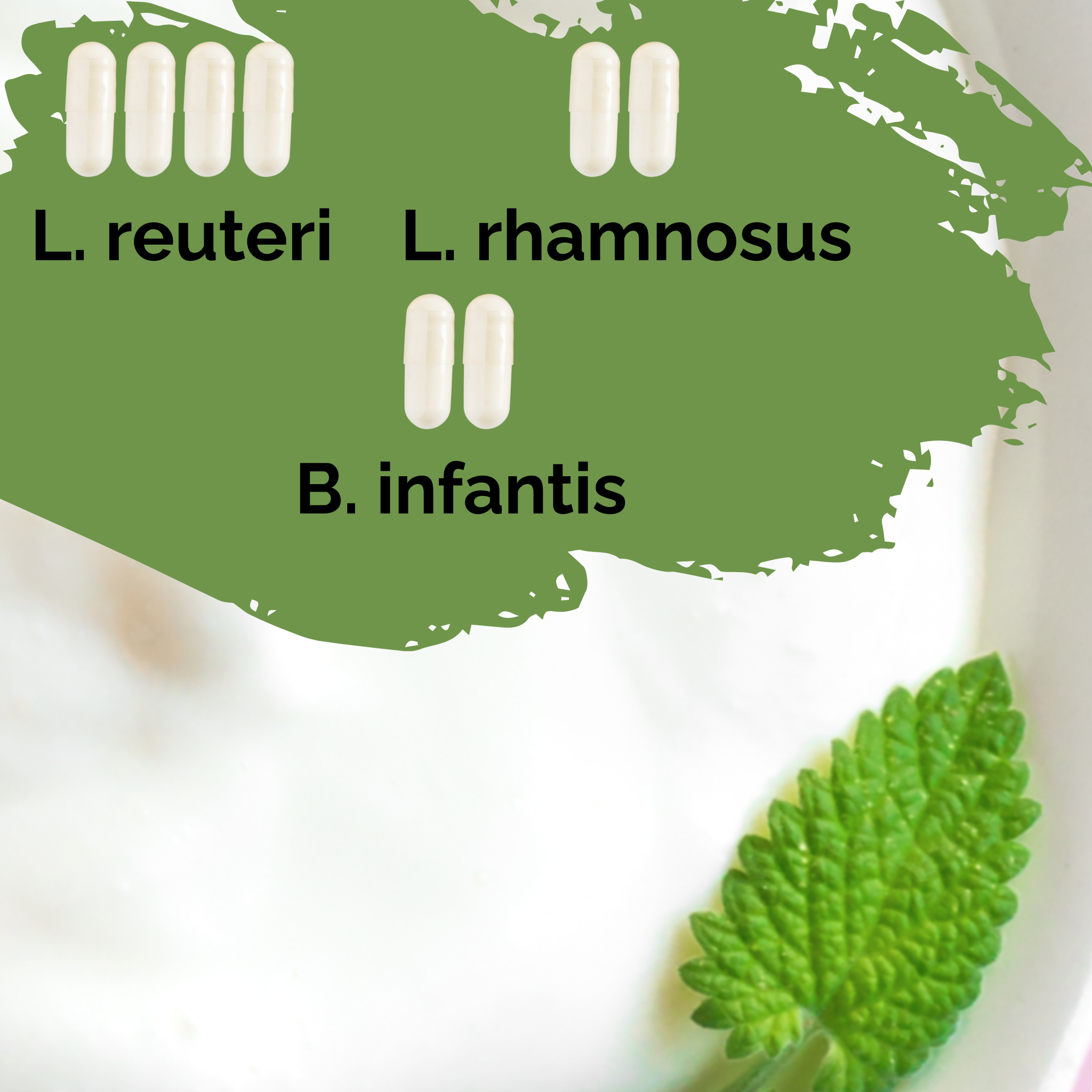 L. reuteri + L. rhamnosus + B. infantis | 優格發酵劑套裝 | 快樂腸道 | 啟動菌種 | 3入裝